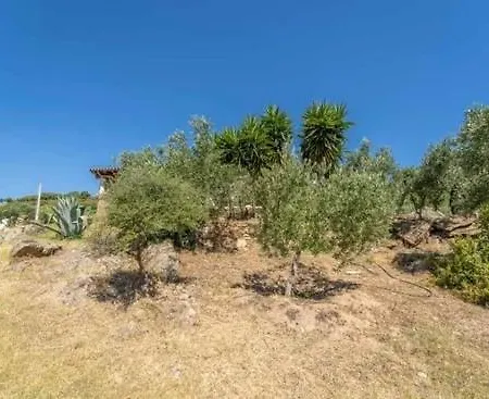 Villa Cuccu Ezzu Torpe